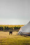 Coonawarra Bush Holiday Park Hotels in Coonawarra
