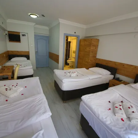 Otel Altay