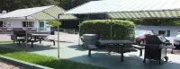 Brookside Motel & Cabins