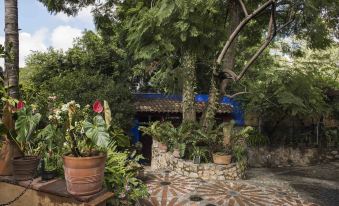 Orchidelirium Casa Hotel & Salud Estética