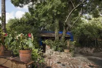 Orchidelirium Casa Hotel & Salud Estética