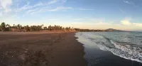 Hotel Oasis - Beach