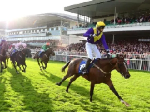 Travelodge Plus Galway Hotels in Galway