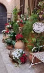 Romantic apartment in the Vicolo dei Baci located in the historic center