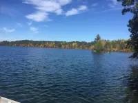 Cozy cottage trails, trout fishing & fireplace.