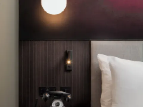 倫敦特威克納姆體育場酒店 里士滿酒店