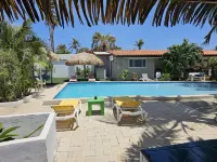 Casalina Garden 2 Blocks to Palm Beach & Kitesurfing School Hotels in Palm Beach