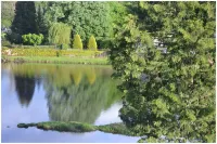 Gîte "Au Bord de L'eau" Hotels in Chambon-sur-Voueize