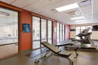 Hampton Inn & Suites Detroit/Chesterfield Township - Gym