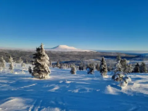 Neugebaute Gemütliche Skihütte in Idre- Himmelfjäll mit Aussicht-50m zum Lift Hotels in Alvdalen N
