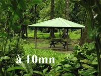 Peaceful 3-bedroom detached house with Netflix air-conditioning and dishwasher Hotels in Saint Joseph