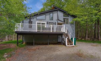 Poconos Hideaway - Woods & Wildlife