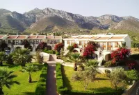 The Olive Tree Hotel