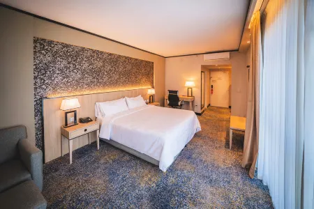 Holiday Inn Rosario Отели в г. Росарио