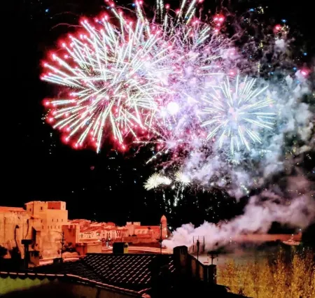 High-end duplex Le Mirador au Faubourg, view of Collioure Bay, Garage, Air cond