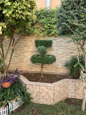 Suite Lujoso con Chimenea Patio y Garage Privado Hotels in Daimiel