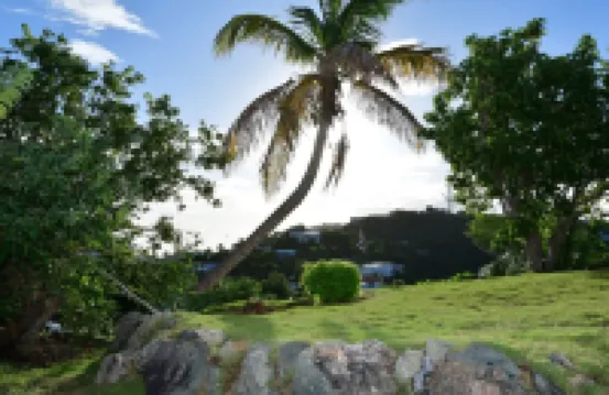 Quiet Cozy Island Mountain Getaway