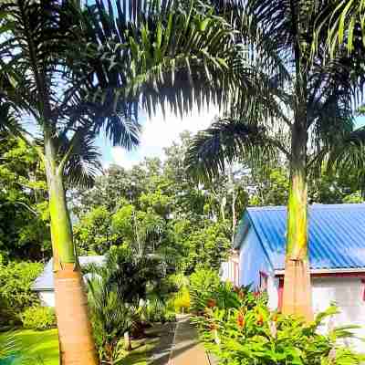 Caraïbes Cottage Violet Piscine Privée a 900m de la Plage Hotel Exterior