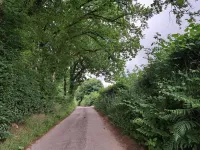 The Hoot - a gorgeous & secluded cabin on private wildlife reserve Hotels in Tiverton