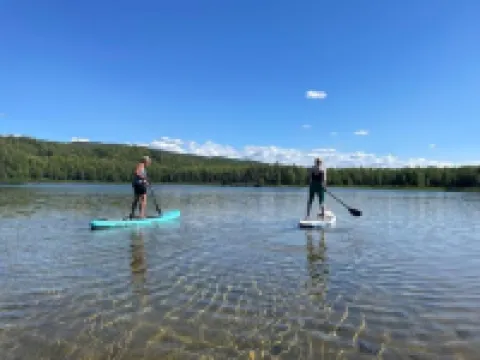 Talkeetna Tiny House Cabin Dragonfly Fire-pit/ski/bike/multi-use trails