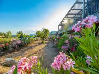 small villa with private pool, Residence Les Terrasses d'Arsella, Porto-Vecchio Hotels in Lecci