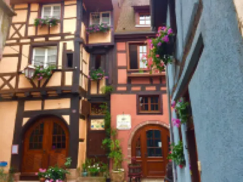 Apartment in Riquewihr near Vineyards