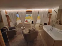 بنزيون جانكا