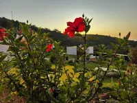 Serene & Joyful Retreat - Breathtaking view Hotel in zona Golf de Cabo Negro