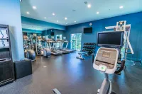 Holiday Inn HOUSTON-WEBSTER by IHG - Gym