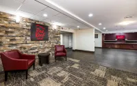 Red Roof Inn Hartford - New Britain - Motels