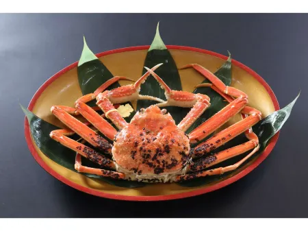 Echizenkaigan Tamagawa No Yado Iwamotoya Отели в г. Этидзен