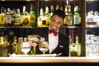 Hotel de la Ville - Monza - bar