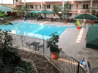 Clarion Inn - piscine