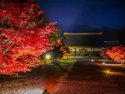ホテル周辺 光信寺の湯　ゆっくらの写真