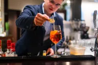 Hotel Seepark Thun - bar