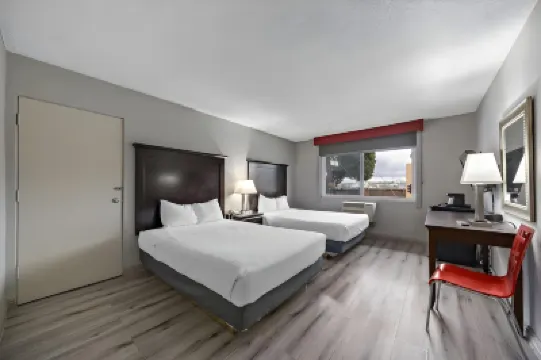 Royal Pagoda Motel Dodger Stadium Hotels in 