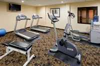 Holiday Inn SOUTH PLAINFIELD-PISCATAWAY by IHG - salle de sport
