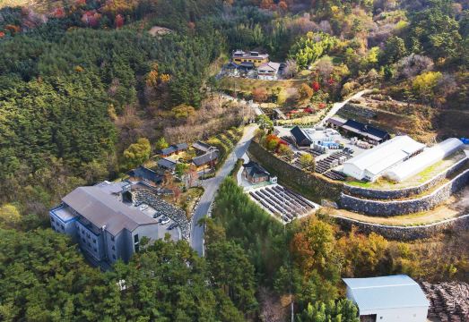 호텔 객실 사진