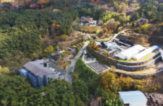 Wellness Hotel Insanga