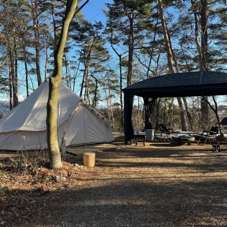 Retama Camp Forest