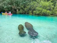 Manatee pool home