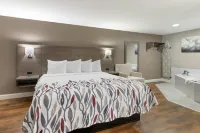 Red Roof Inn & Suites Swansea - Pet friendly