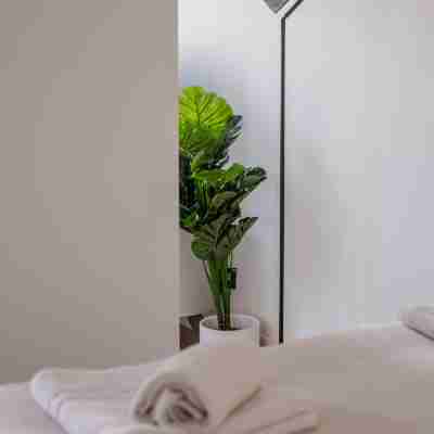 Modern 1 BR Apartment Rotterdam West Rooms
