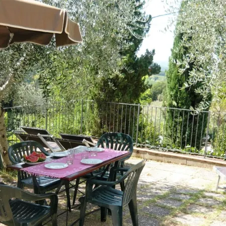 Oliveta Pettirosso in Gavignano