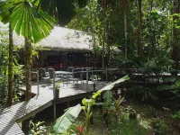 Daintree Wilderness Lodge Hotels in Daintree