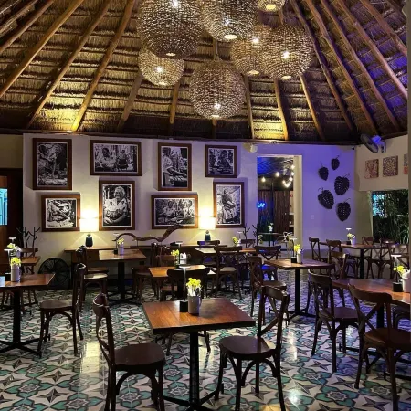 Blue Palm Bacalar