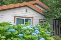 Jejujiin guesthouse - Интернет