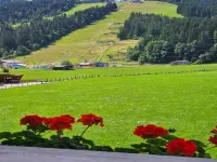 Aparthotel Stadler - Mountain view