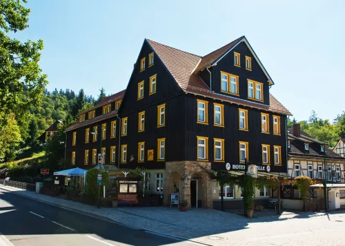 Ferienhotel Forelle Thale Ortsteil Treseburg - breakfast