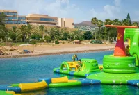 NALU Latchi Leonardo Limited Edition - Beach